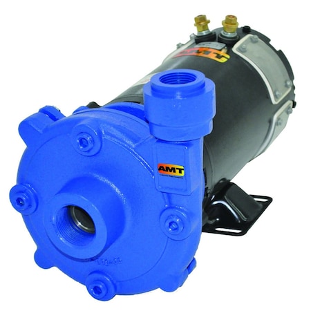 Amt Pump 1.25-in. x 1-in. Cast Iron 7/8 HP 12V Pump 12DC-95